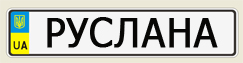 Купить эксклюзивный автономер