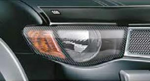 BMW X5 2001-2006 - Защита передних фар, карбон, EGR фото, цена