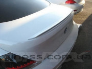 BMW 6 2004-2010 - Лип спойлер на крышку багажника (под покраску) фото, цена