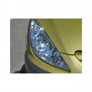 Peugeot 307 2002-2008 - Защита передних фар прозрачная. (EGR)  фото, цена