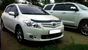Toyota Auris 2009-2012 - Дефлектор капота (мухобойка), темный. (SIM) фото, цена