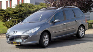 Peugeot 307 2002-2008 - Решетка радиатора (Cobra)  SW фото, цена