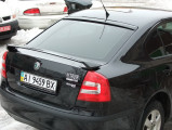 Защита фар Skoda octavia